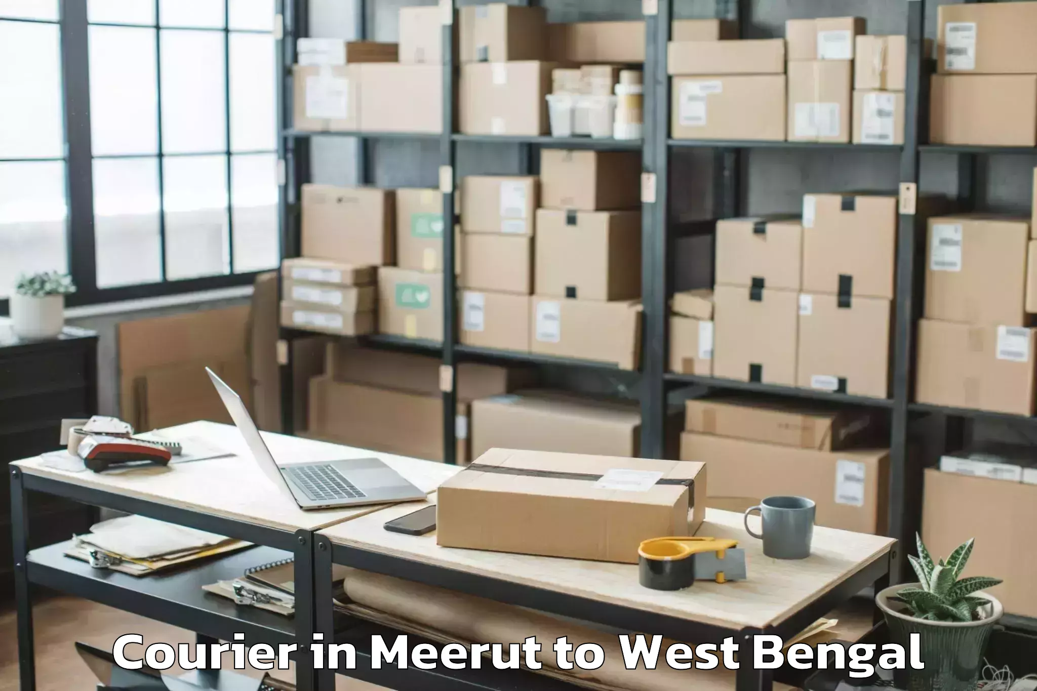 Easy Meerut to Gaighata Courier Booking